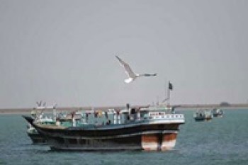 هشت ایرانی توسط دزدان دریایی سومالی کشته شده اند