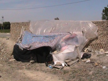 9 بی سرپناه در مکان های عمومی تهران جان خویش را از دست داده اند