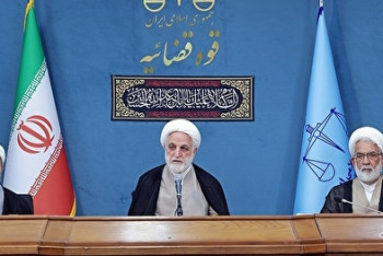 اژه ای از برخی احکام جایگزین حبس انتقاد کرد