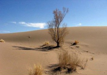 تا بیابانی شدن فاصله‌ای نداریم