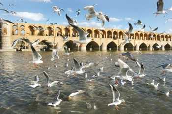 ساخت «سمفونی زاینده‌رود» در ۱۲ قسمت و توسط ۱۲ کارگردان