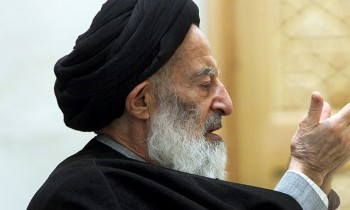  آیت‌الله‌ شبیری زنجانی: سیاسی شدن مساجد به ضرر حکومت است