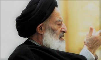 شبیری زنجانی: شریعت با شادی مخالف نیست
