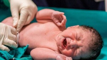 آمار زاد و ولد در ایران طی ۳ سال گذشته ۲۰ درصد کاهش یافته است