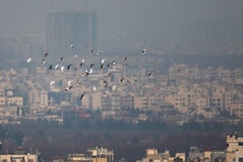 خسارات آلودگی هوا سالانه ۷ تا ۱۱ میلیارد دلار است