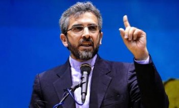 اروپا صلاحیت سخن گفتن درباره حقوق حیوانات را هم ندارد