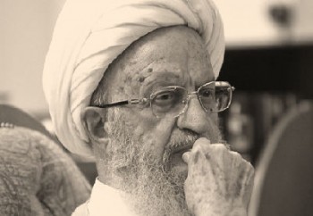 مکارم شیرازی می گوید از نظام حمایت کرده و می کنیم