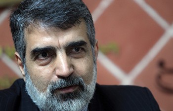 سازمان انرژی اتمی ایران مهلت دوماهه را غیر قابل تمدید خواند