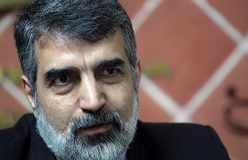 سازمان انرژی اتمی ایران مهلت دوماهه را غیر قابل تمدید خواند