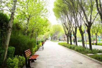 فضای سبز اصفهان در ۵۰ سال گذشته نابود شده است