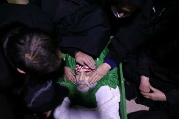 تیم ترور فحری زاده متشکل از حداقل ۲۰ ایرانی و اسرائیلی بوده است