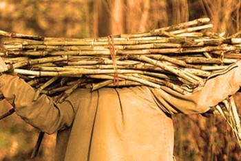 ۹ نفر از کارگران هفت تپه به ۸ ماه حبس محکوم شدند