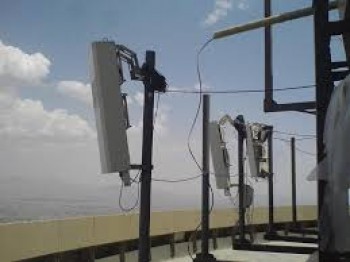 وزیر بهداشت: هر نوع پارازیتی مضر است