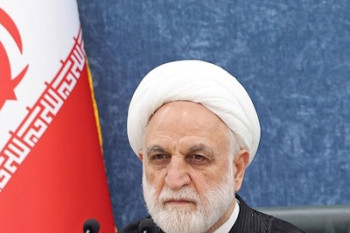  باید فکری به حال مجرمان مالی ناتوان بکنیم