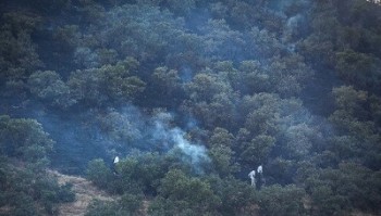 وسعت جنگل های ایران ۶ میلیون هکتار کاهش یافت