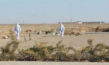 آمار جان باختگان کرونا به ۱۴۴ هزار و ۶۹۹ نفر رسید