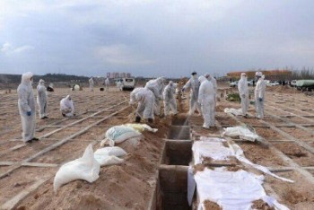 آمارجان باختگان کرونا در ایران به ۶۱ هزار و ۴۹۲ نفر رسید