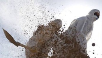 آمار جان باختگان کرونا از ۱۱۳ هزار نفر گذشت