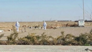 آمار جان باختگان کرونا به ۱۴۴ هزار و ۳۸۲ نفر رسید