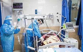 آمار جان باختگان کرونا به ۱۴۴ هزار و ۵۱۶ نفر رسید آمار جان باختگان کرونا به ۱۴۴ هزار و ۵۱۶ نفر رسید