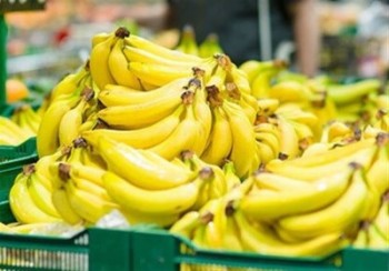 روسیه و هند برای صادرات محصولات ایران ایجاد مانع کرده اند