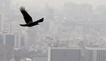 سالیانه ۴۵۷۳ نفر در اثر آلودگی هوا در تهران می میرند