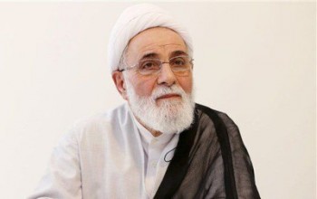 مشکل نوع اجرای دموکراسی است| قاعده بازی را هم بلد نیستیم