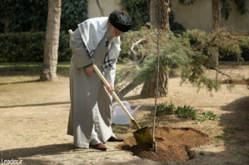 نهضت ملی درختکاری جدی گرفته شود