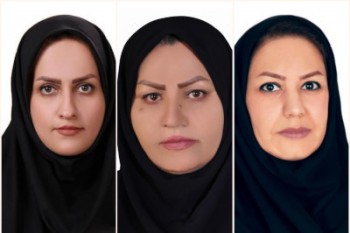 بانوان در کجای پازل شوراها قراردارند؟ 