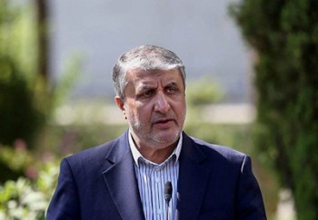 بازرسان اخراج‌ شده آژانس رفتار سیاسی تند دارند