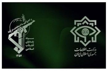 یک شبکه سازماندهی اغتشاشات ضربه خورد