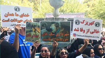 تجمع ضد سگ کشی در تهران به تنش کشیده شد