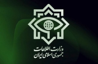 وزارت اطلاعات انتصاب افراد دو تابعیتی را تکذیب کرد