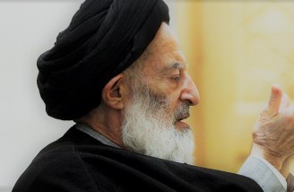 شبیری زنجانی: شریعت با شادی مخالف نیست