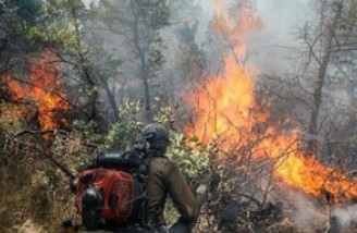 منشأ آتش‌سوزی جنگل‌های مریوان انسانی است