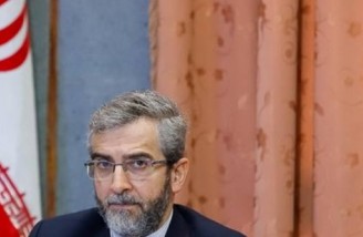 ایران به دنبال تبیین نگاه نظام دینی به حقوق بشر است