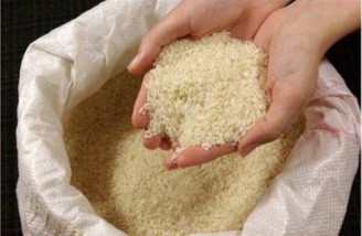  تنها ۵ درصد از ایرانی‌ها توان خرید برنج ایرانی را دارند