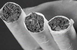 رشد ۱۵۴ درصدی کشف ماده مخدر گل در اطراف مدارس ایران