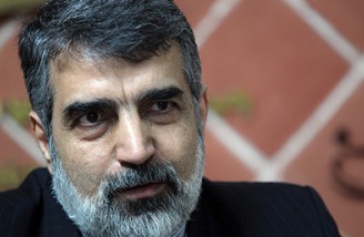 سازمان انرژی اتمی ایران مهلت دوماهه را غیر قابل تمدید خواند
