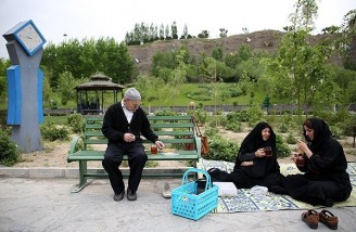 همایش پیاده روی خانوادگی| تهران