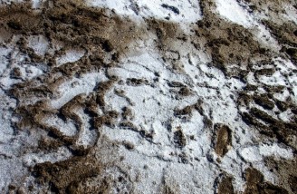 آرامگاه اسرارآمیز زاینده‌رود