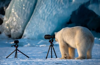 خرس عکاس ِ حیات وحش| Roie Galitz