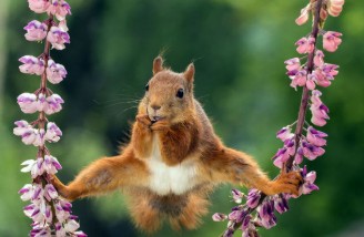 Splits|Geert Weggen