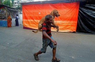 برترین تصاویرعکاسان خبری رویترز در سال 2016 (بخش آخر)