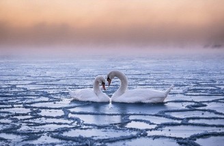 بهترین عکس های 2016 فلیکر