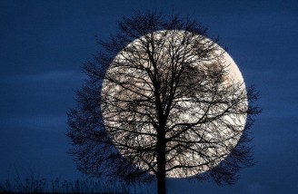 بهترین عکس های 2016 فلیکر