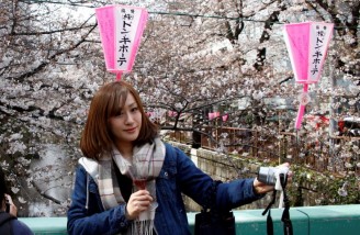 ژاپن؛ جشن شکوفه های گیلاس 