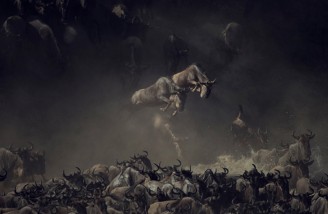 تصاویر برگزیده نشنال جئوگرافیک در سال ۲۰۱۸ 