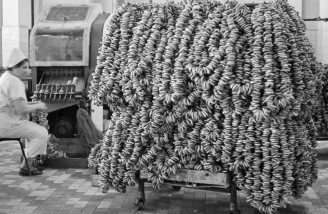 کارگری در کارخانه ، سال ۱۹۶۷