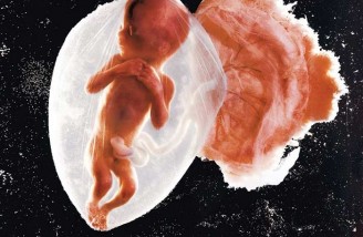 تأثیرگذارترین تصاویر تاریخ به انتخاب مجله تایم (بخش آخر)